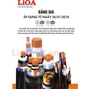 day-dien-lioa-co-tot-khong